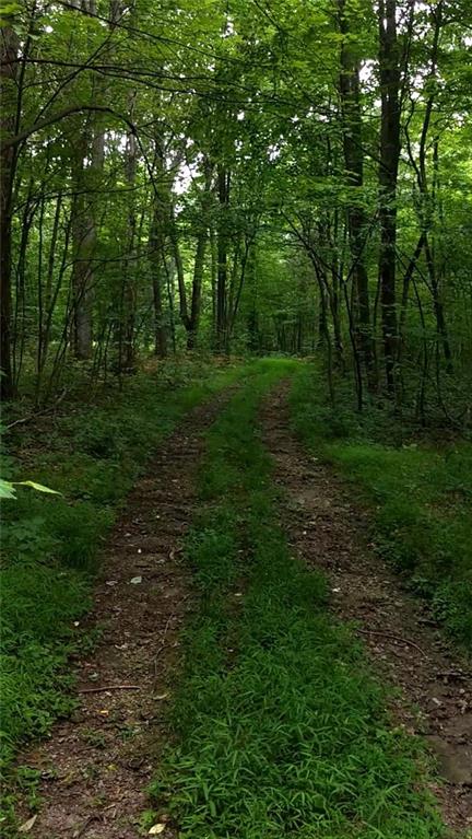 0 Conover Pass Road Acme, PA 15610 - Photo 4 of 7 Gallery Image 4