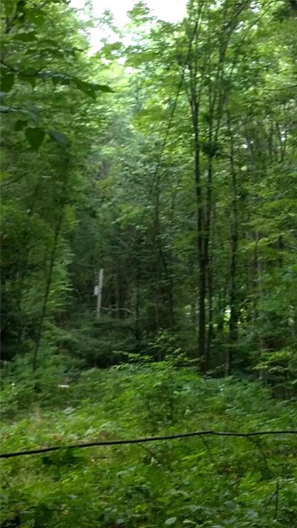 0 Conover Pass Road Acme, PA 15610 - Photo 7 of 7 Gallery Image 7