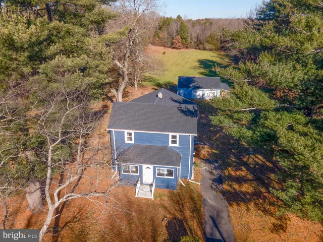 a view of a yard in a forest