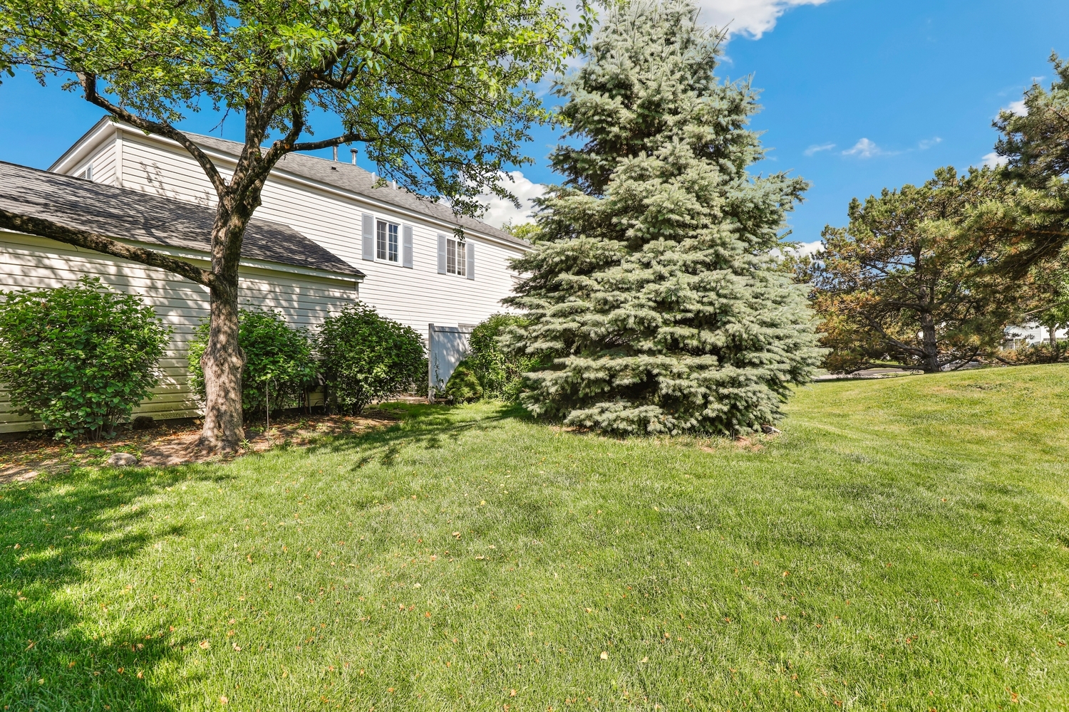1500 Normantown Road Naperville, IL 60564 - Photo 18 of 19