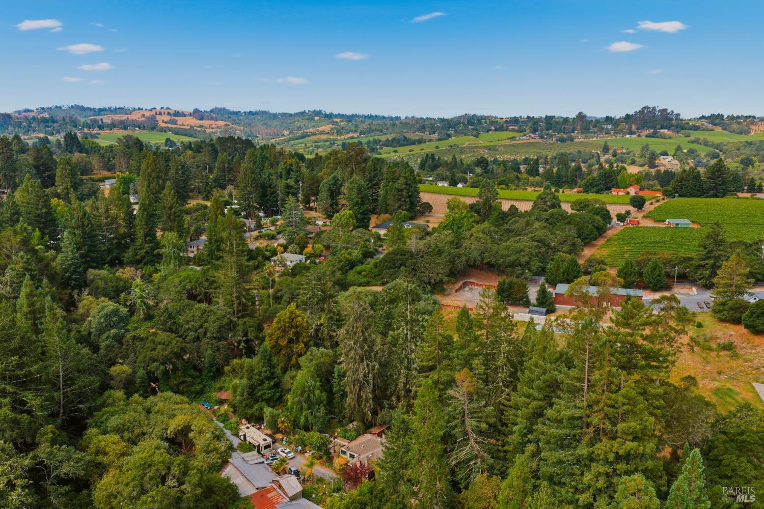 589 Pleasant Hill Road Sebastopol, CA 95472 - Photo 45 of 58