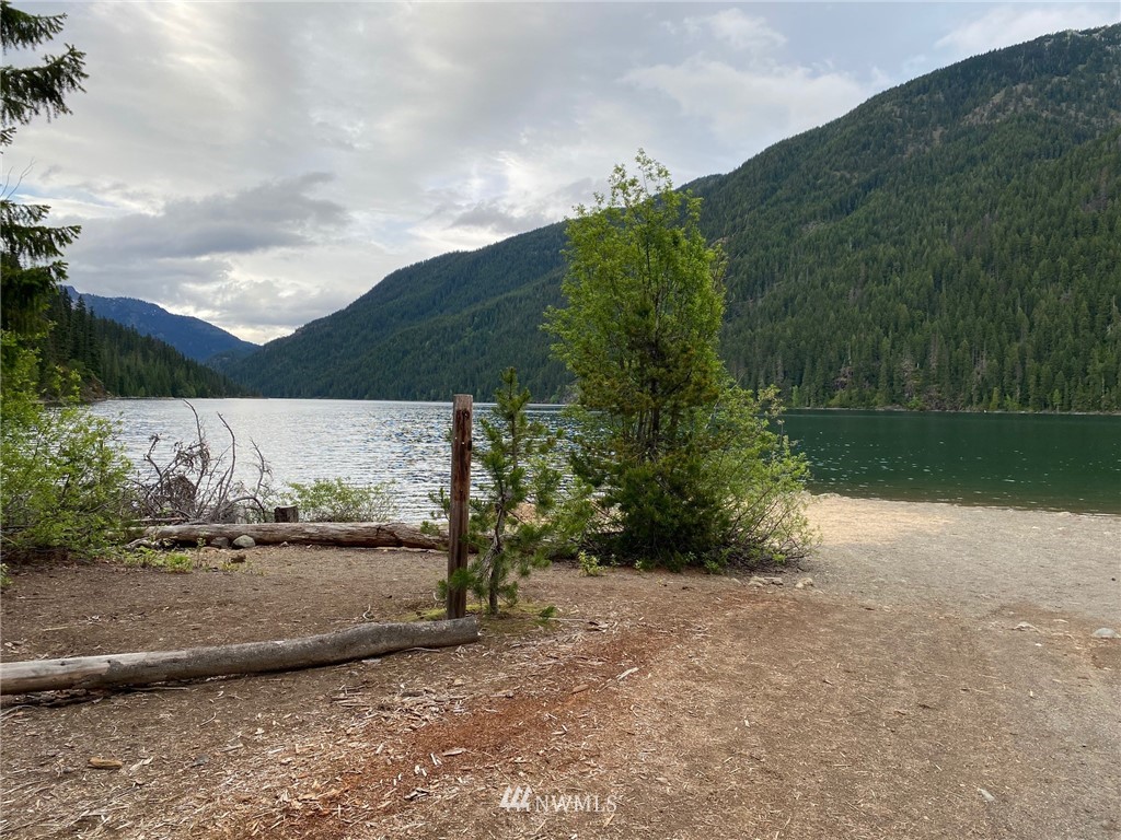 8711 Kachess Lake Road Easton, WA 98925 - Photo 24 of 24 a view of a yard with an trees