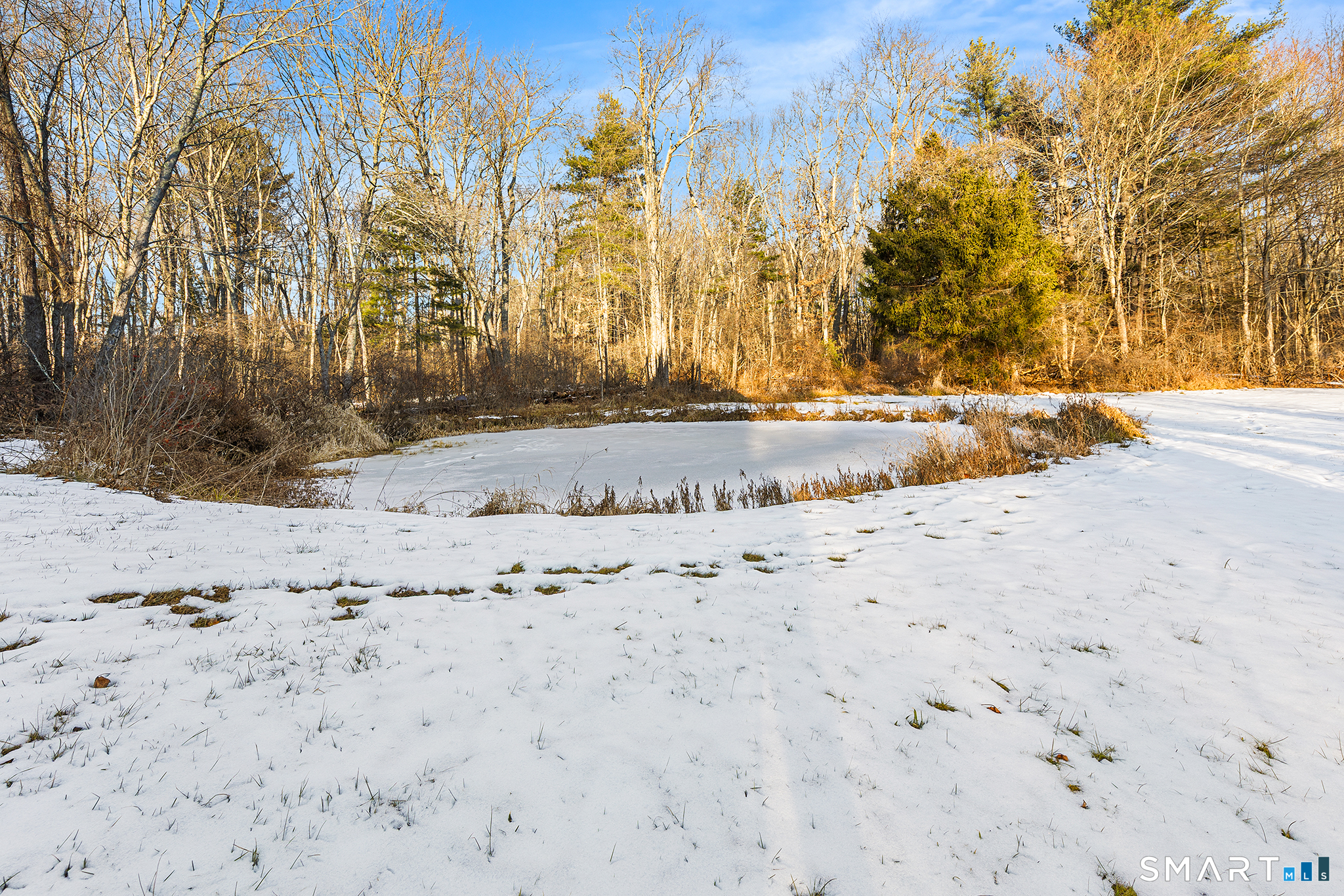 280 Village Hill Road Willington, CT 06279 - Photo 35 of 35 a view of dirt yard with a large tree
