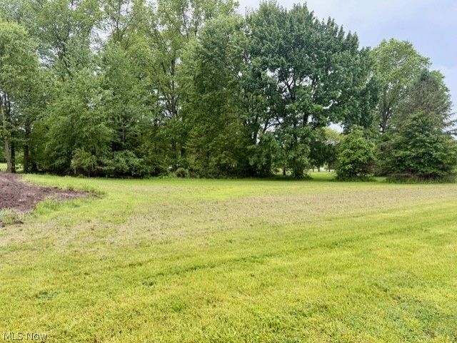 6978 Stewart Sharon Road Hubbard, OH 44425 - Photo 8 of 11 Side Yard