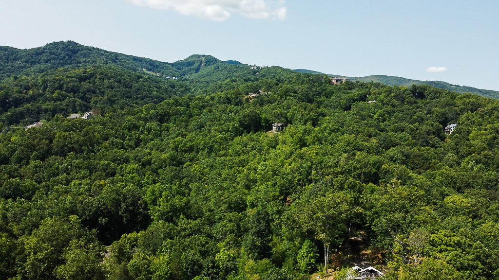 1468 Laurel Road Gatlinburg, TN 37738 - Photo 30 of 40 Gallery Image 30