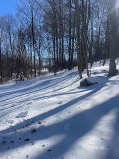 1 Hickory Street Bristol, CT 06010 - Photo 40 of 40