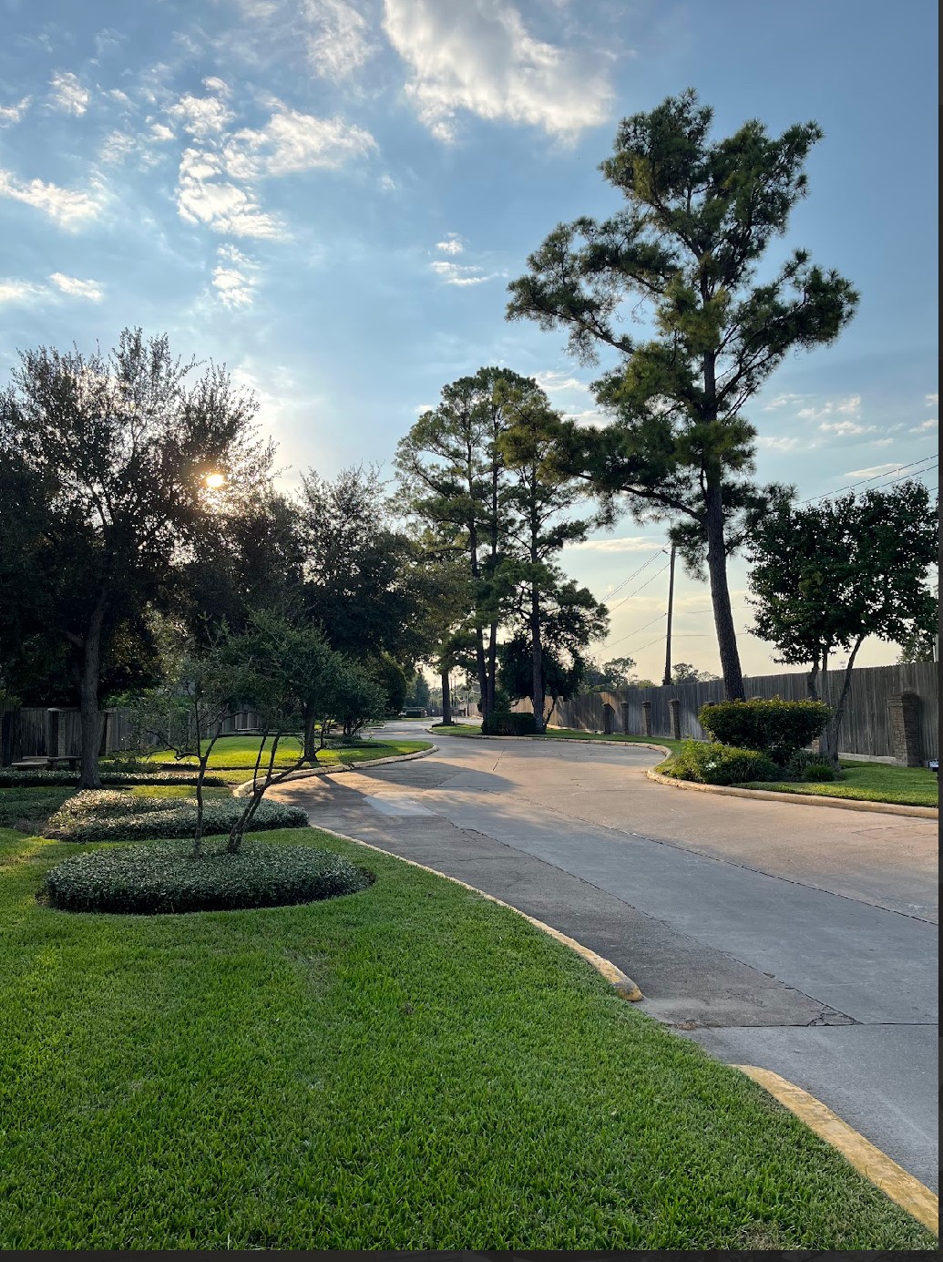 2800 Jeanetta Street, Unit 2706 Houston, TX 77063 - Photo 14 of 19 a view of street with houses