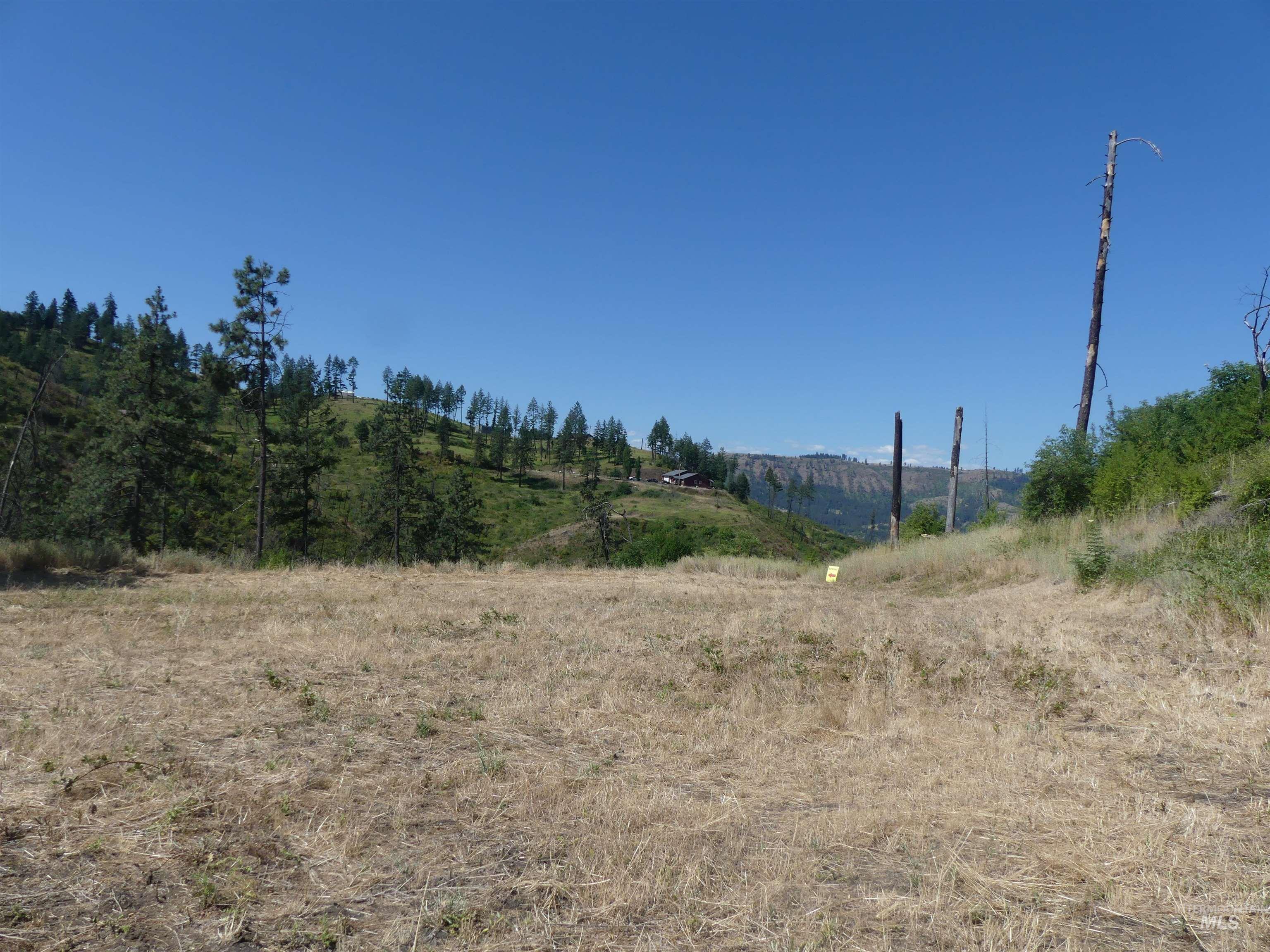 355 Glenwood Road Kamiah, ID 83536 - Photo 1 of 12