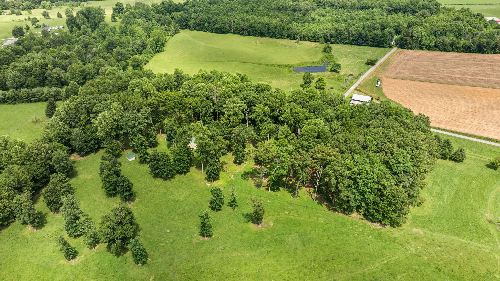 1545 Liberty Road Eubank, KY 42567 - Photo 38 of 54 38-web-or-mls-DJI_20260629153402_0156_D