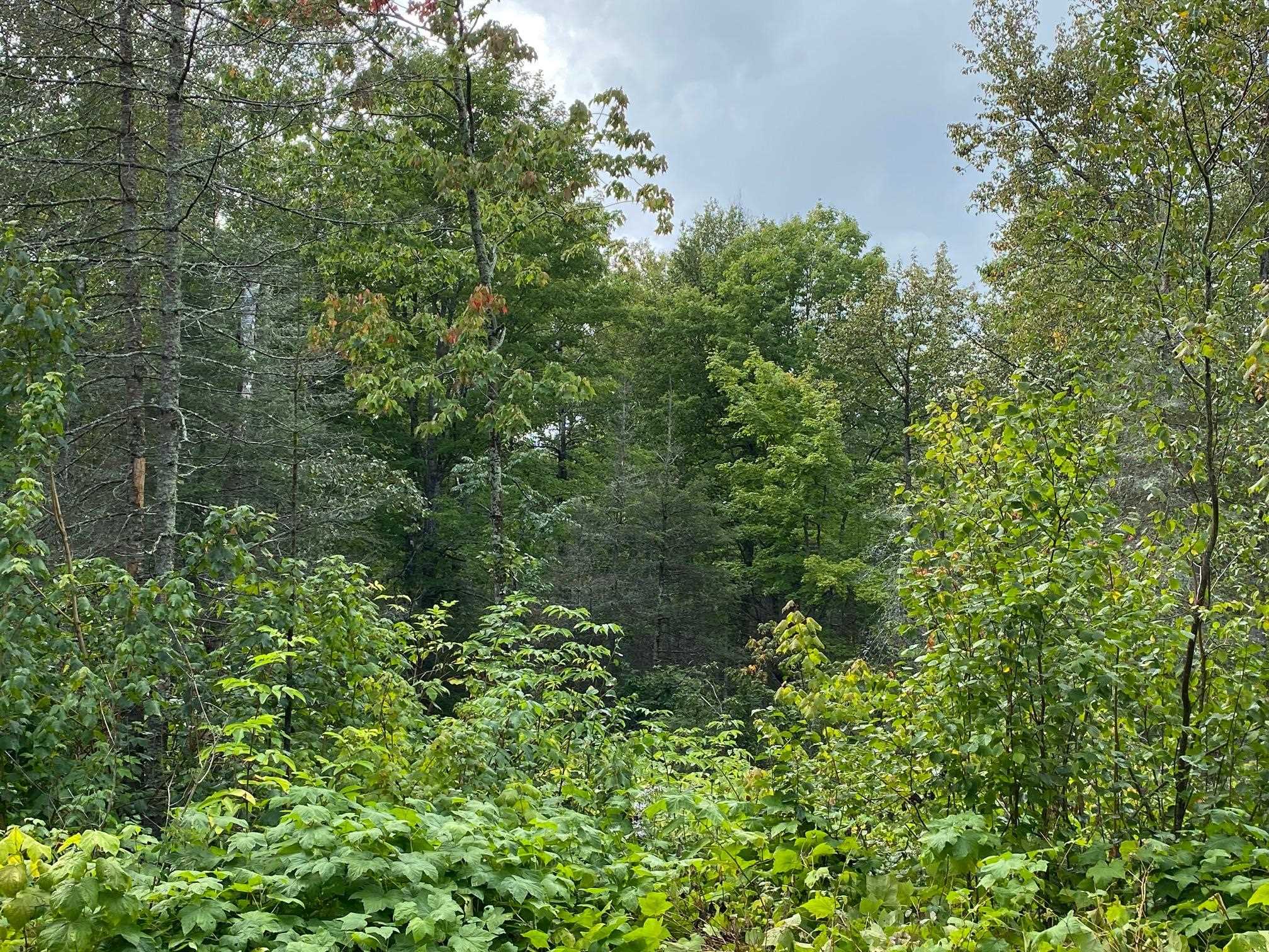 7999 Laine Road Two Harbors, MN 55616 - Photo 27 of 34 Gallery Image 27