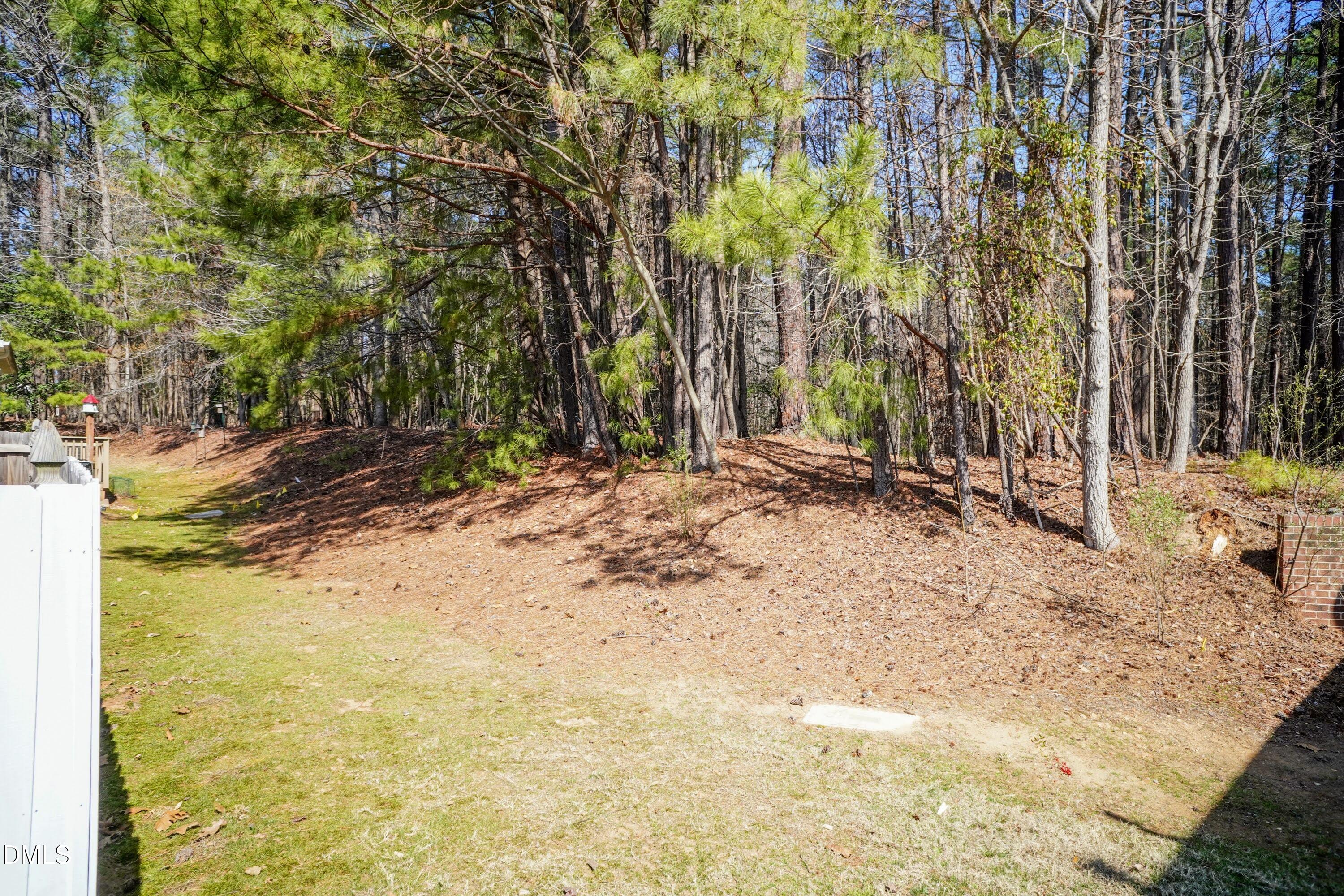 3047 Coxindale Drive Raleigh, NC 27615 - Photo 32 of 33 Back Yard 01