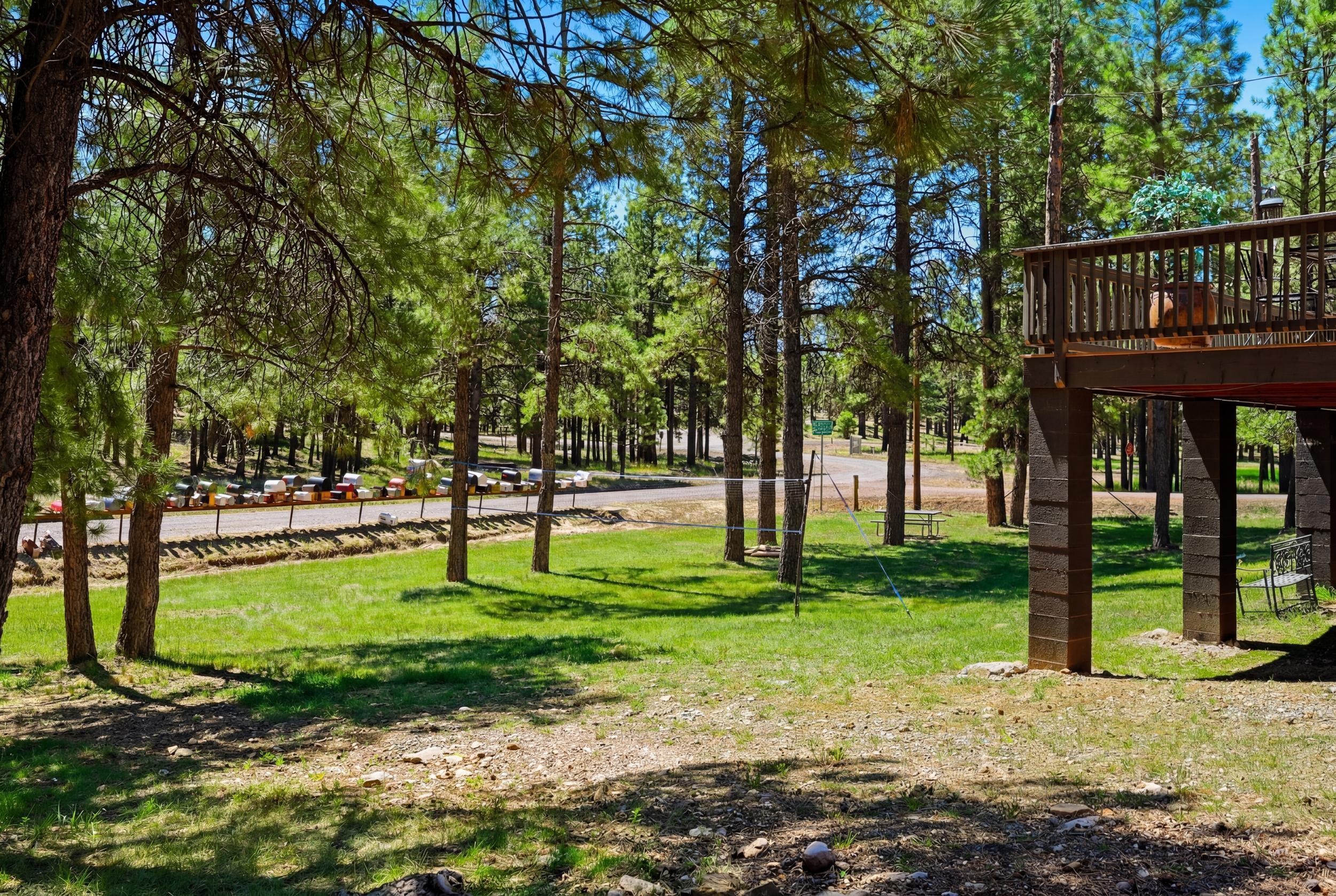 856 Coconino Loop Happy Jack, AZ 86024 - Photo 39 of 51