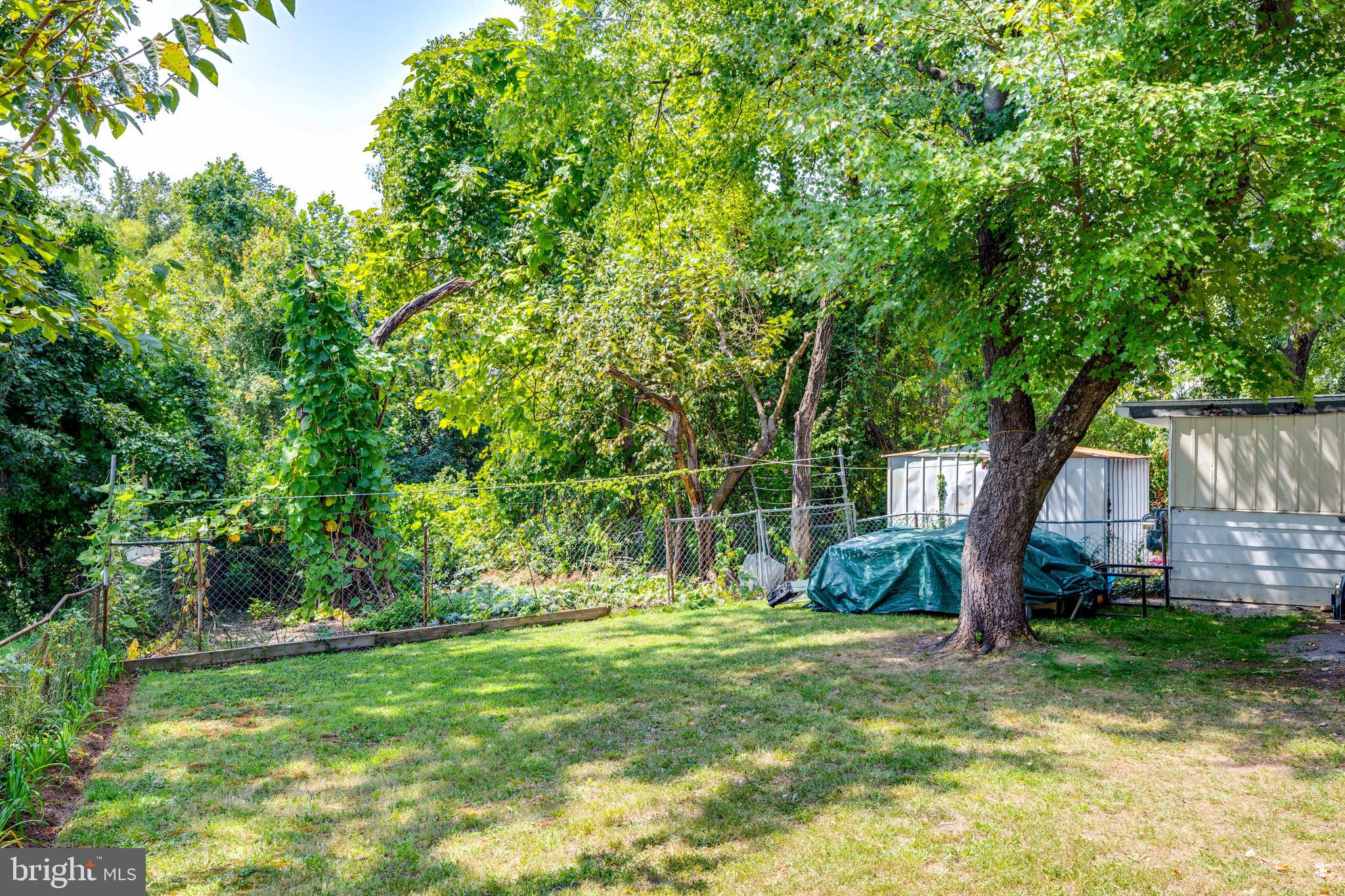 2028 Ray Leonard Road Hyattsville, MD 20785 - Photo 25 of 30 Side yard, attached shed & garden area