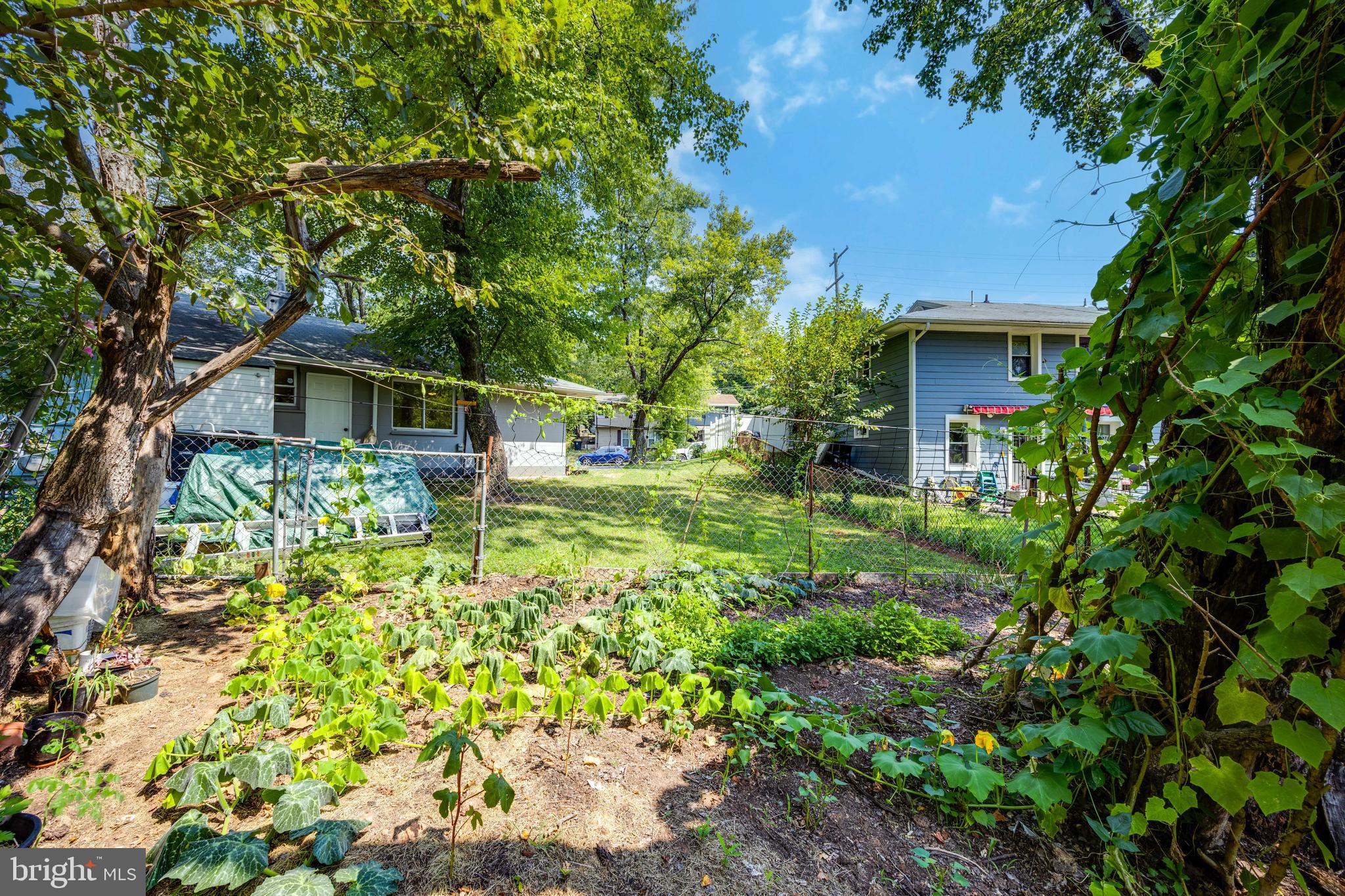 2028 Ray Leonard Road Hyattsville, MD 20785 - Photo 28 of 30 Garden