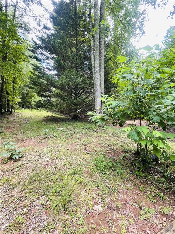 95 Hill Crest Court Cleveland, GA 30528 - Photo 22 of 26 a view of a garden with a tree