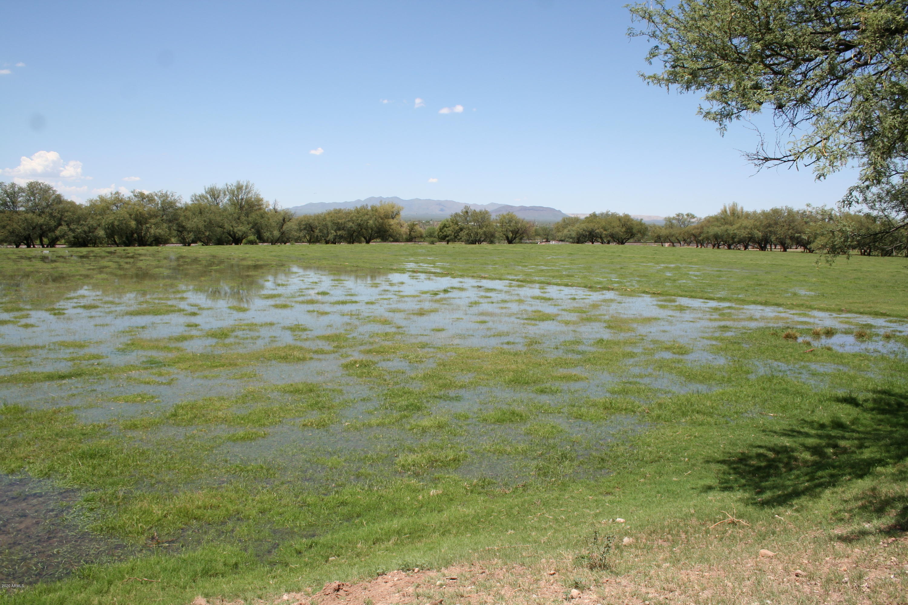 131-2 Amado Montosa Road Amado, AZ 85645 - Photo 22 of 55 IMG_4911