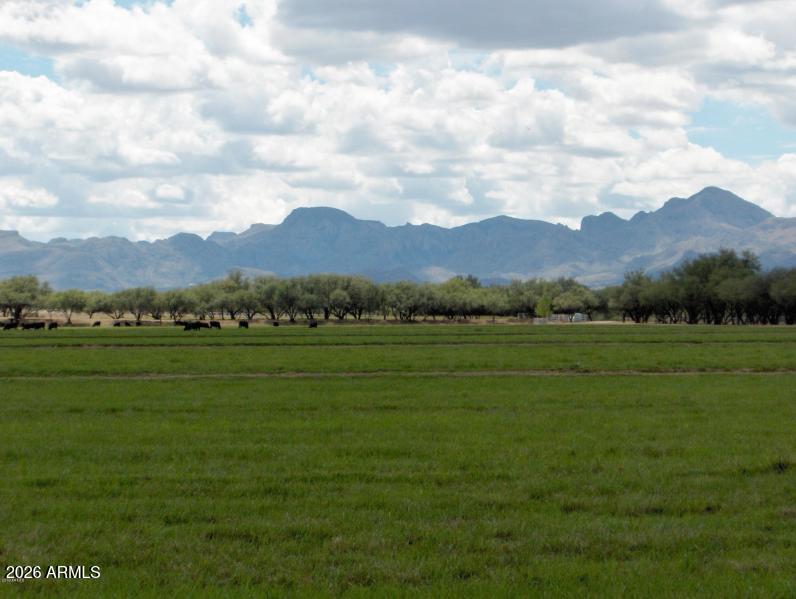 131-2 Amado Montosa Road Amado, AZ 85645 - Photo 42 of 55 a view of grassy field with mountain