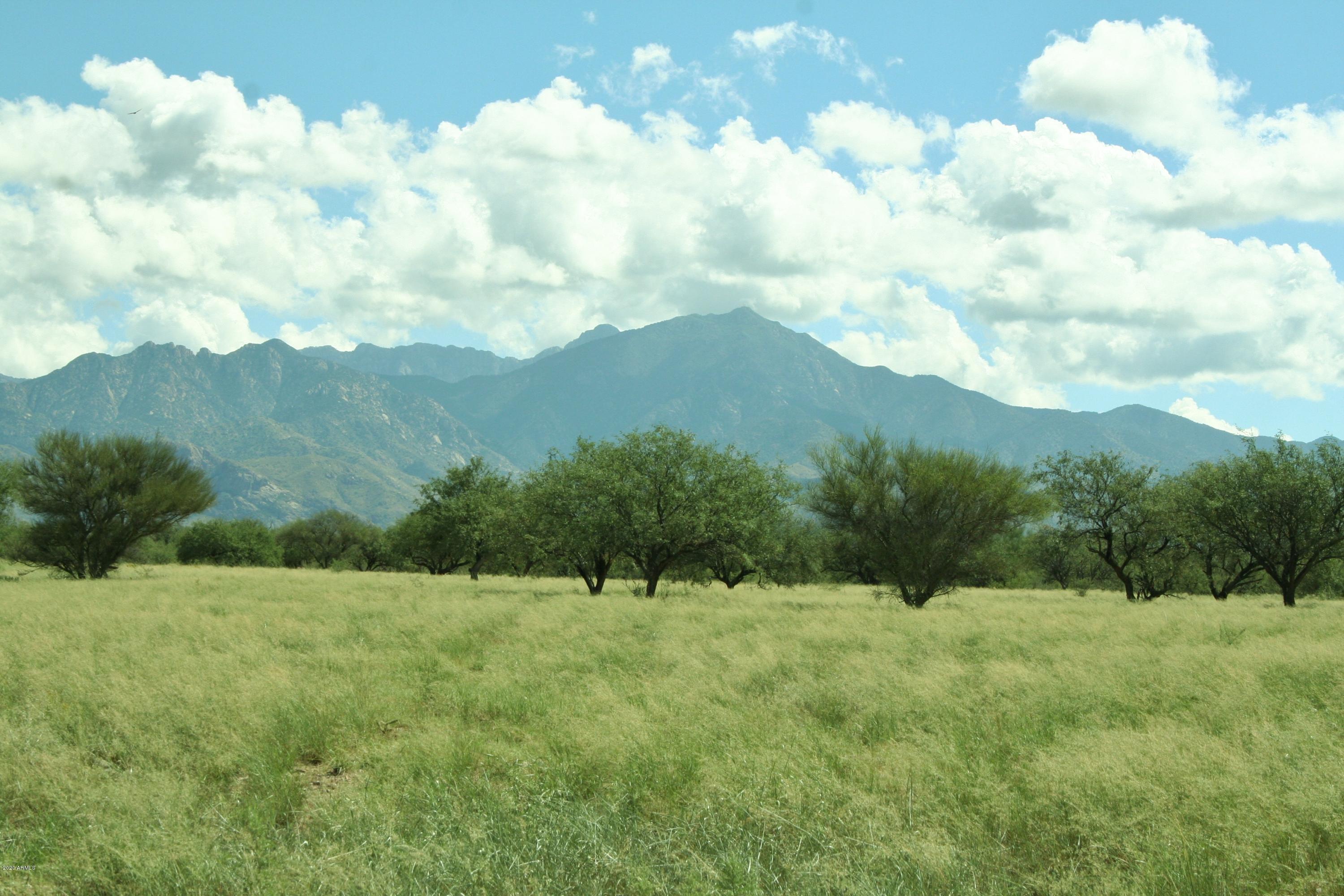 131-2 Amado Montosa Road Amado, AZ 85645 - Photo 43 of 55 a view of a bunch of trees and mountain in the background