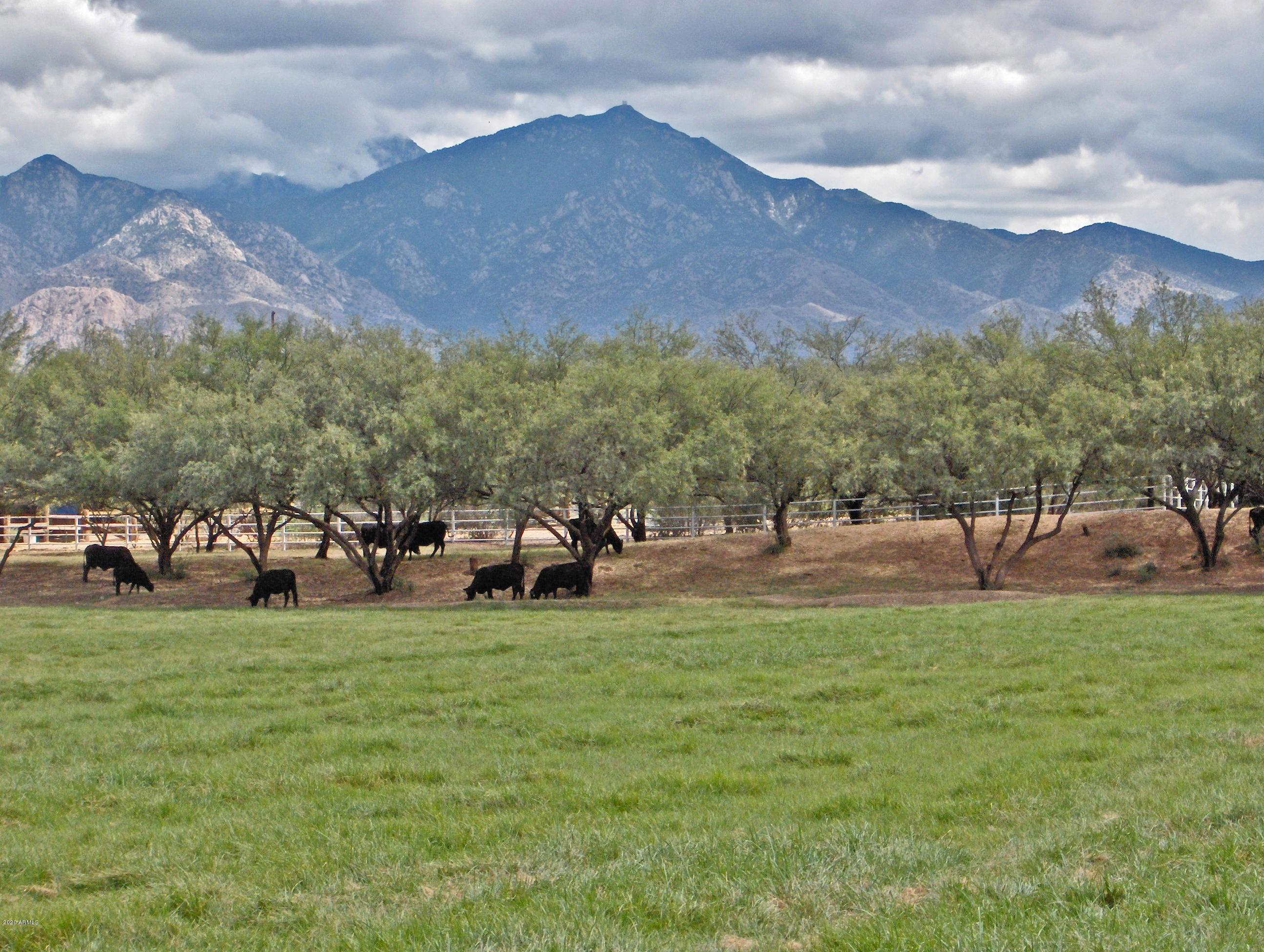 131-2 Amado Montosa Road Amado, AZ 85645 - Photo 52 of 55 M_HPIM0330