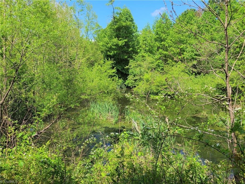2936 Perch Road Pinnacle, NC 27043 - Photo 22 of 26