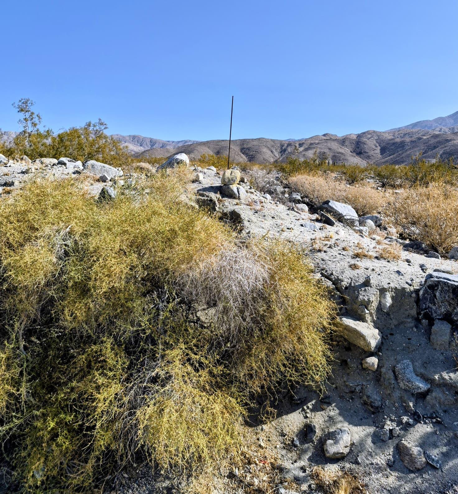 Dillon Rd Dillon Road Desert Hot Springs, CA 92241 - Photo 8 of 8 WhatsApp Image 2026-06-30 at 9.54.23 AM