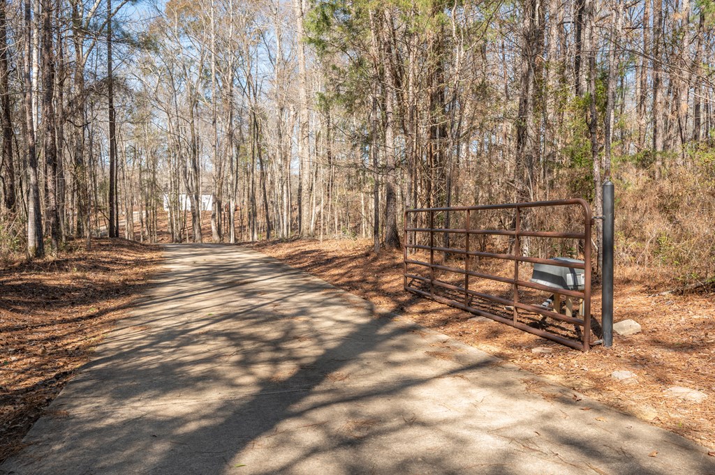 1652 Pierce Road Waverly Hall, GA 31831 - Photo 3 of 51 a view of outdoor space with deck and tree