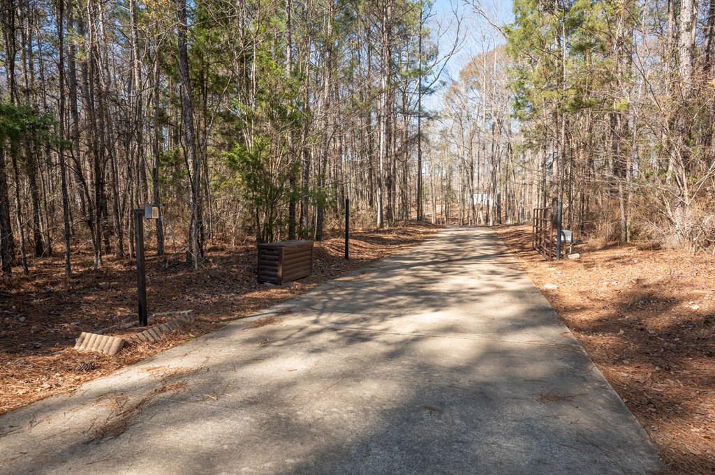 1652 Pierce Road Waverly Hall, GA 31831 - Photo 4 of 51 a view of outdoor space with trees
