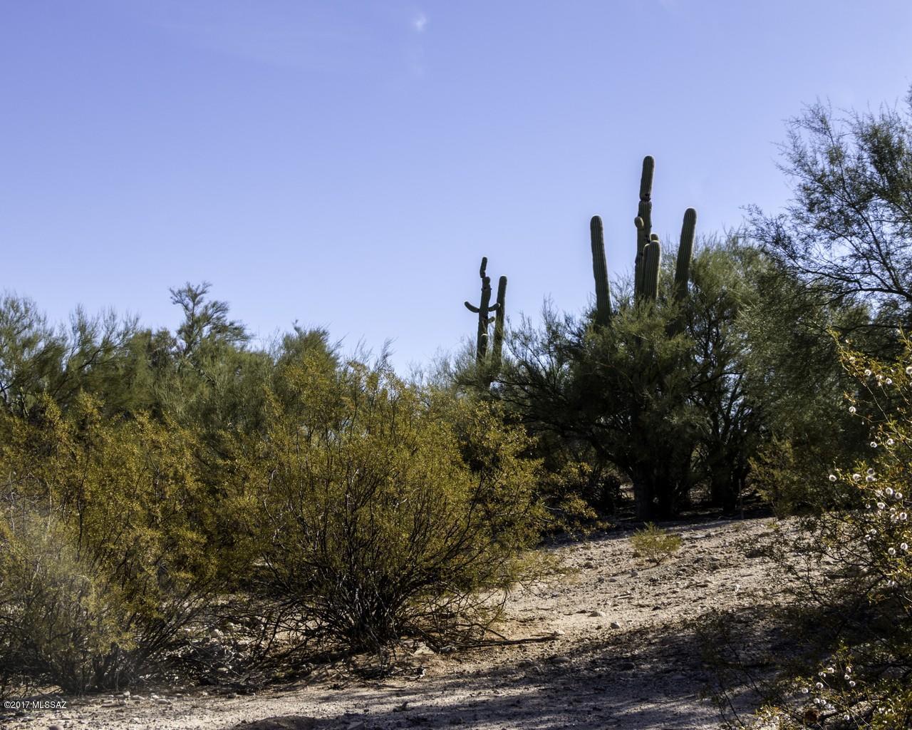 794 West Panorama Road Tucson, AZ 85704 - Photo 6 of 9 Gallery Image 6