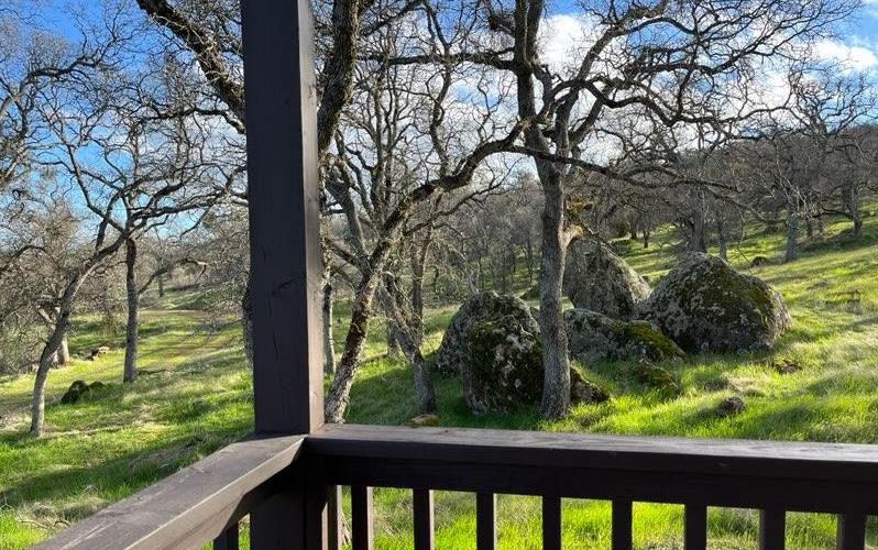 2460 Sulkey Court Copperopolis, CA 95228 - Photo 17 of 91 a view of a garden from a balcony