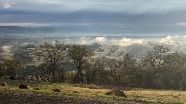 a view of a yard with swimming pool