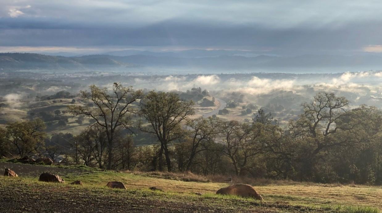 2460 Sulkey Court Copperopolis, CA 95228 - Photo 2 of 91 Exceptional views await!