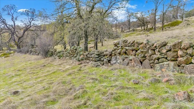 a view of a yard with swimming pool