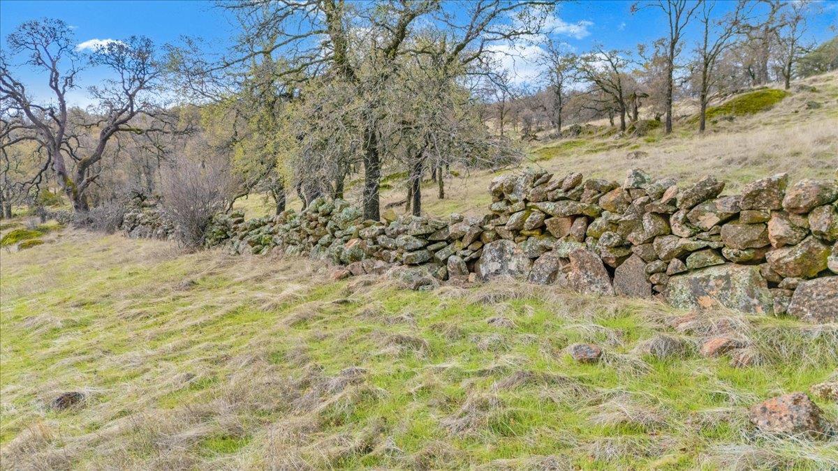 2460 Sulkey Court Copperopolis, CA 95228 - Photo 35 of 91 a view of side of a yard with trees