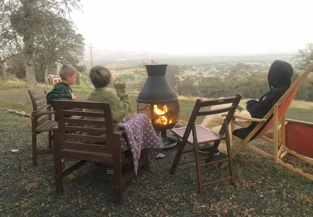 a view of a lake with a tree