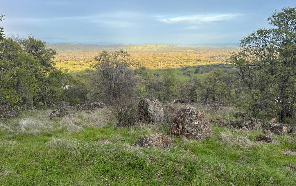 2460 Sulkey Court Copperopolis, CA 95228 - Photo 52 of 91 Rock formations all around.