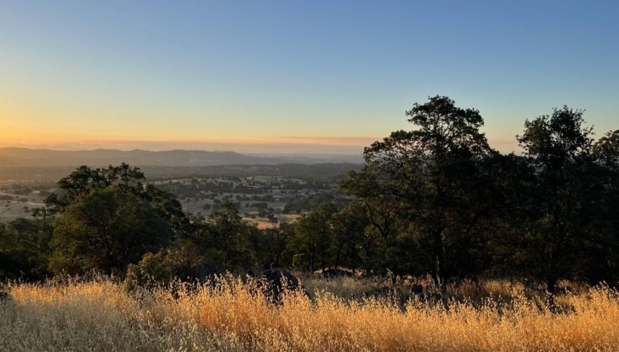 2460 Sulkey Court Copperopolis, CA 95228 - Photo 53 of 91 Seasonal beauty.