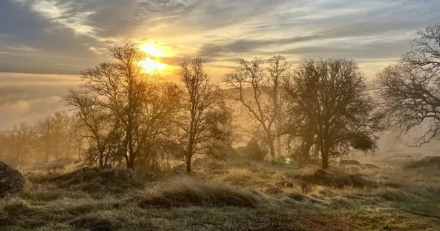 $349,000 | 2460 Sulkey Court, Copperopolis, CA 95228