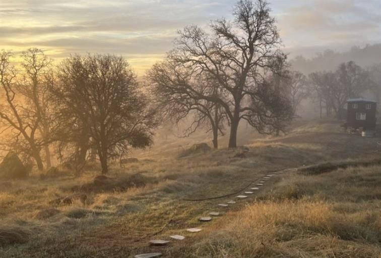 2460 Sulkey Court Copperopolis, CA 95228 - Photo 55 of 91 Magical morning light.