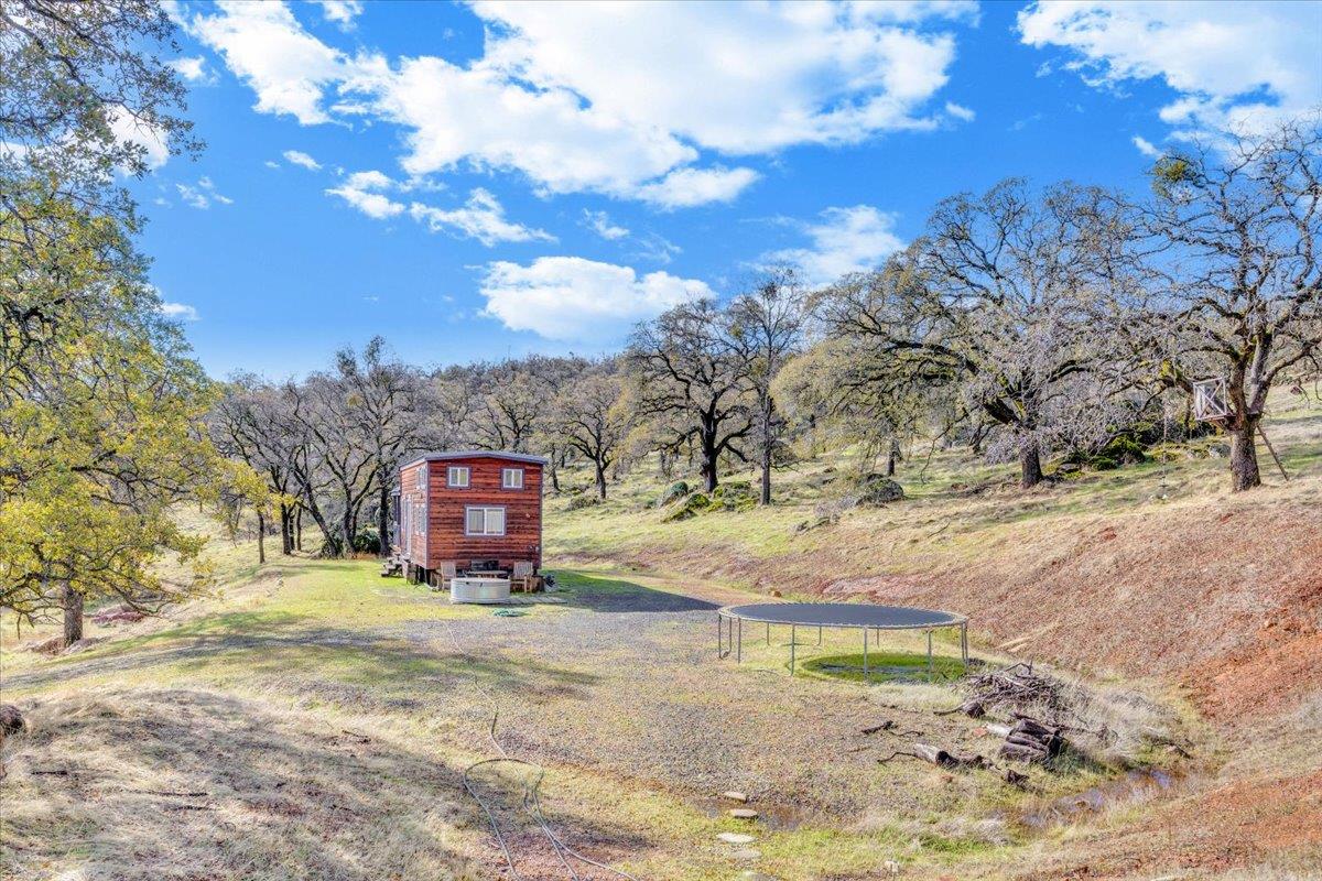 2460 Sulkey Court Copperopolis, CA 95228 - Photo 57 of 91 a view of a yard with a tree