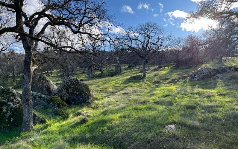 2460 Sulkey Court Copperopolis, CA 95228 - Photo 61 of 91 Beauty abounds.