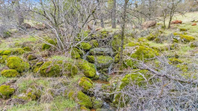 $349,000 | 2460 Sulkey Court, Copperopolis, CA 95228