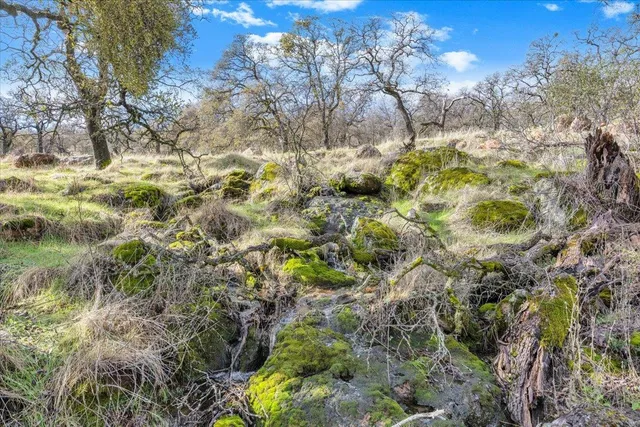 $349,000 | 2460 Sulkey Court, Copperopolis, CA 95228