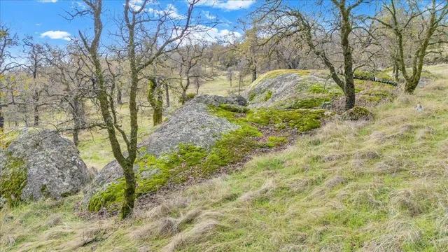 $349,000 | 2460 Sulkey Court, Copperopolis, CA 95228