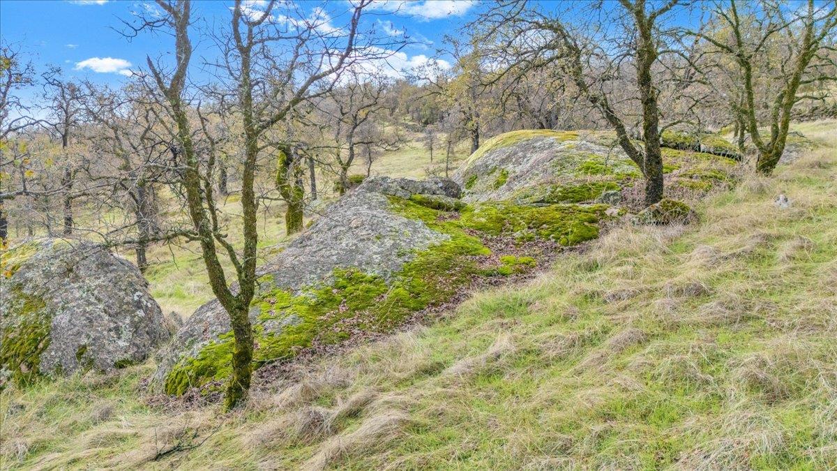 2460 Sulkey Court Copperopolis, CA 95228 - Photo 66 of 91