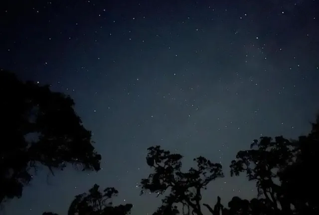 $349,000 | 2460 Sulkey Court, Copperopolis, CA 95228