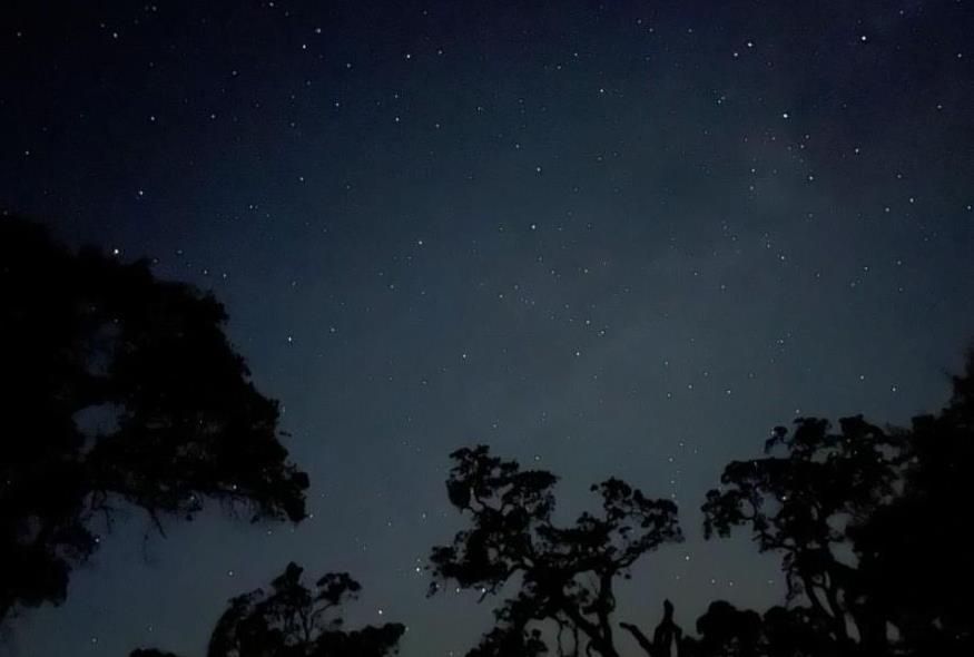 2460 Sulkey Court Copperopolis, CA 95228 - Photo 69 of 91 Stargazing awaits!