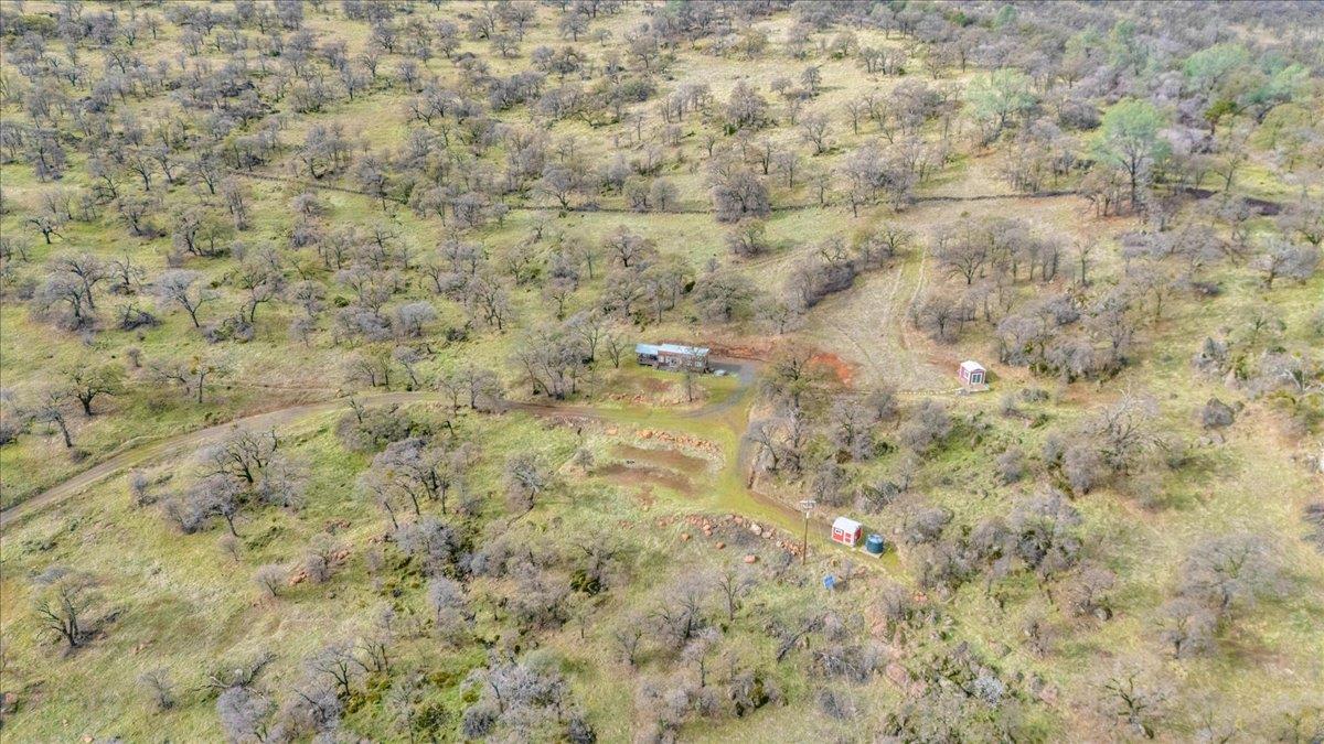 2460 Sulkey Court Copperopolis, CA 95228 - Photo 75 of 91 Front aerial.