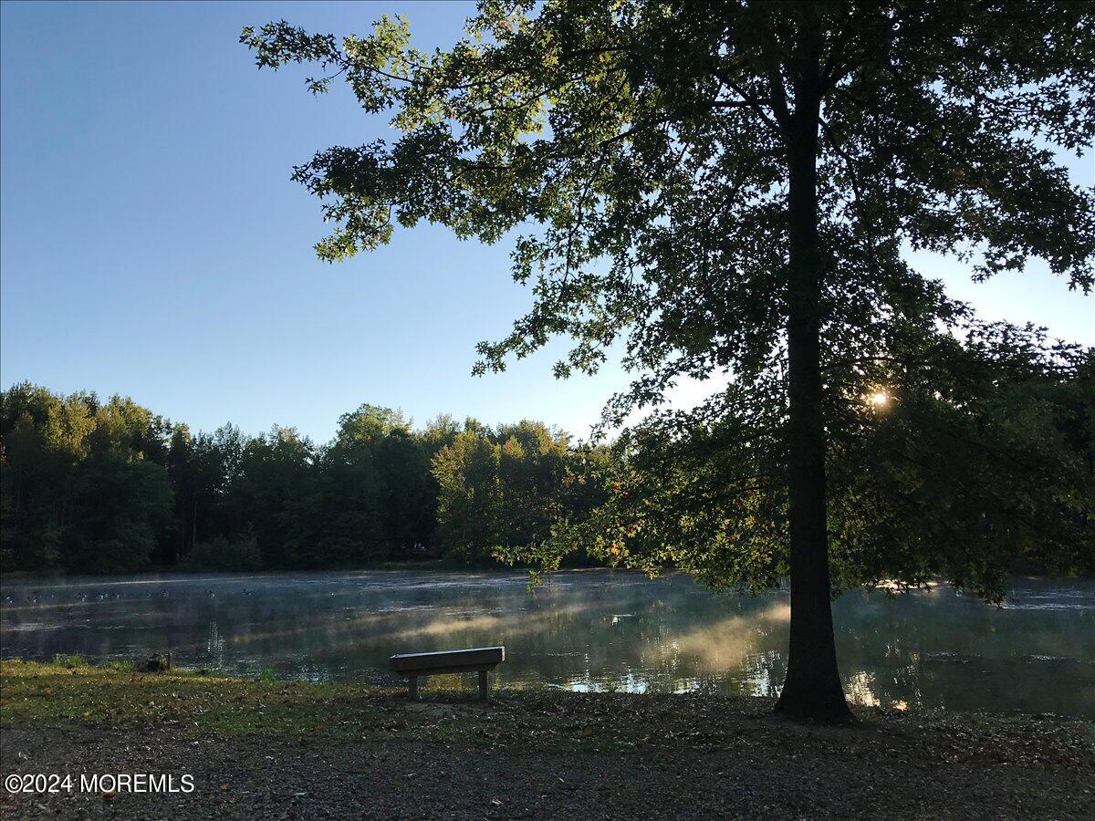 61 Apache Drive Manalapan, NJ 07726 - Photo 37 of 37 a view of lake from yard
