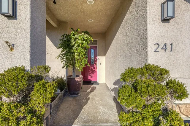 a potted plant sitting in front of a brick house