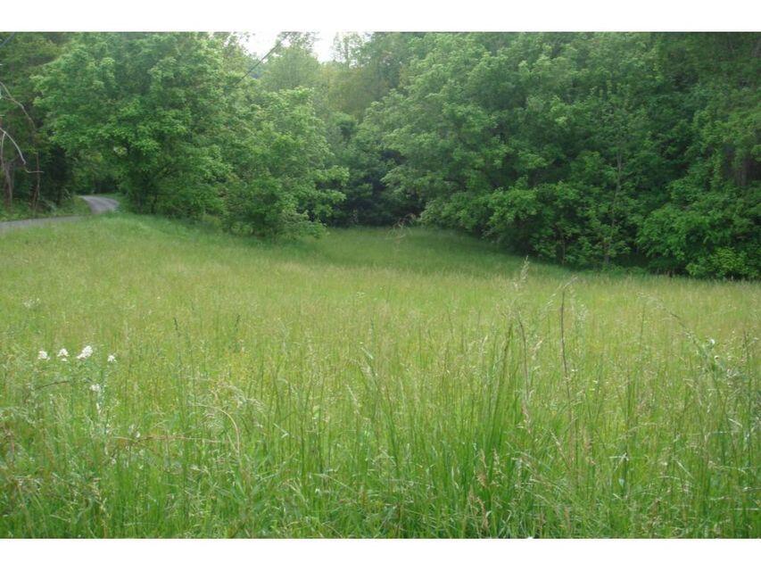Tbd Ferguson Ridge Road Tazewell, TN 37879 - Photo 7 of 7 20191008065848575921000000-o (1)
